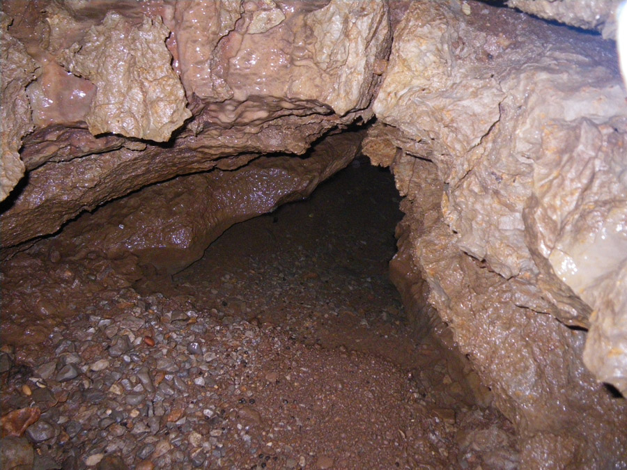 n442821e0041910_010