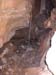 n442821e0041910_008