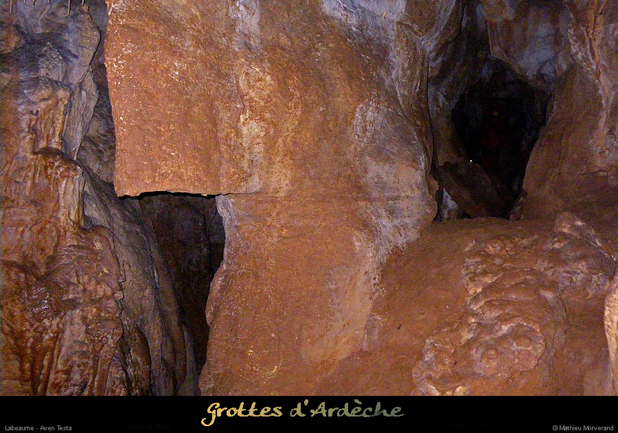 20100109testa_25