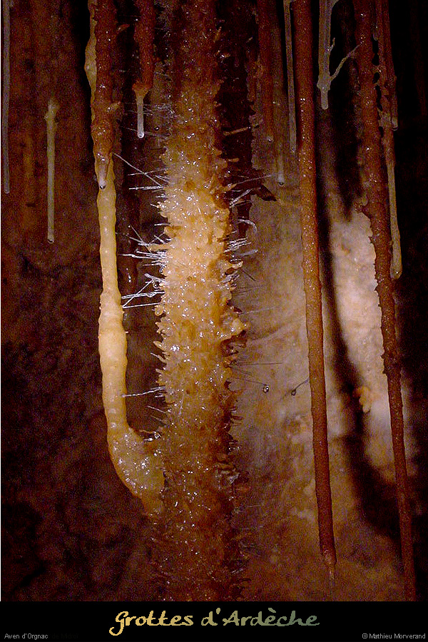 20020329_orgnacii_excentrique_05