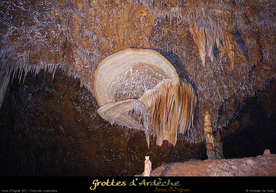 20090524_orgnac015cda