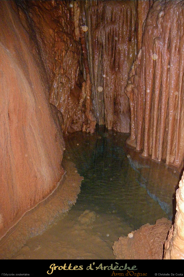 20090524_orgnac037cda