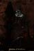 20130816_orgnac5