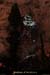 20130816_orgnac6