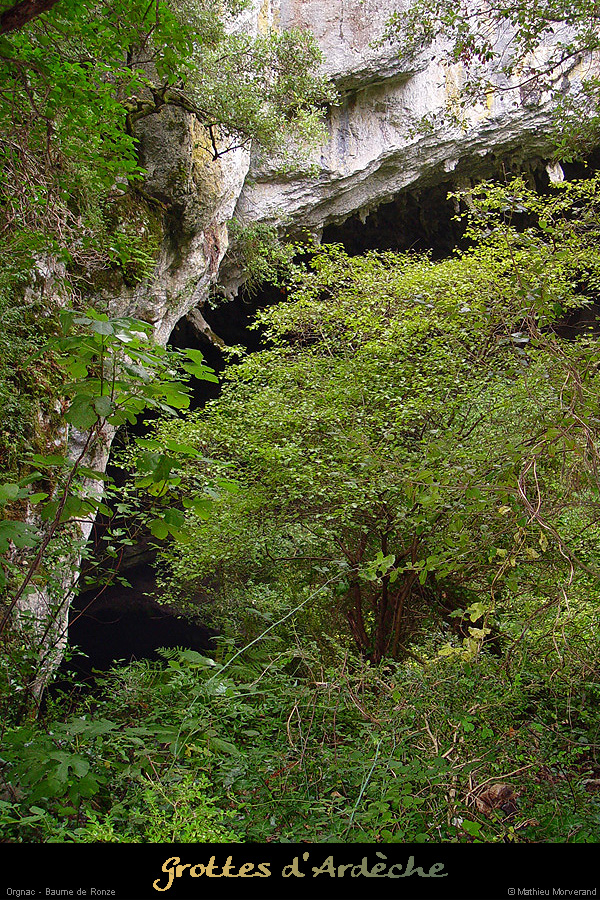 20020917_baumederonze_02