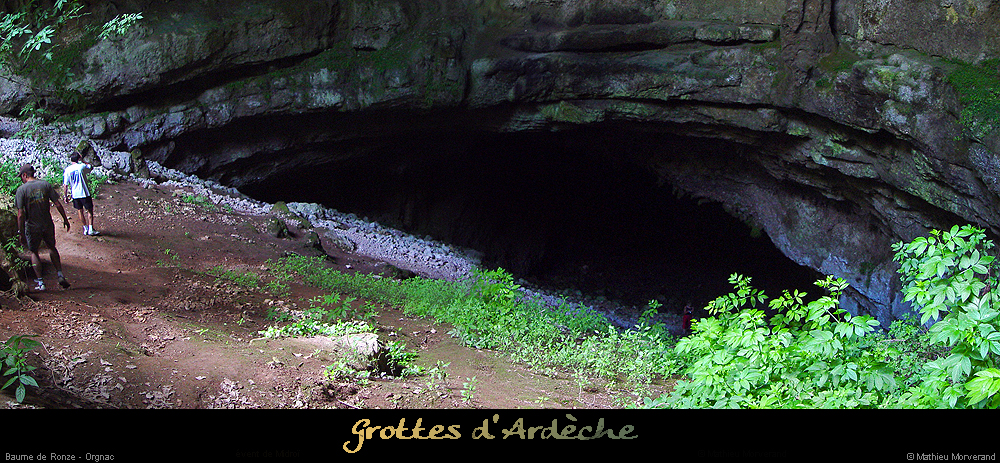 20040813_baumederonze_c2_haut_pano