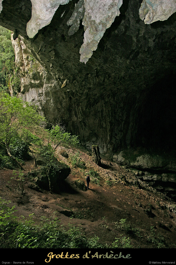 20041031_baumederonze_2ndecavitehaut_14
