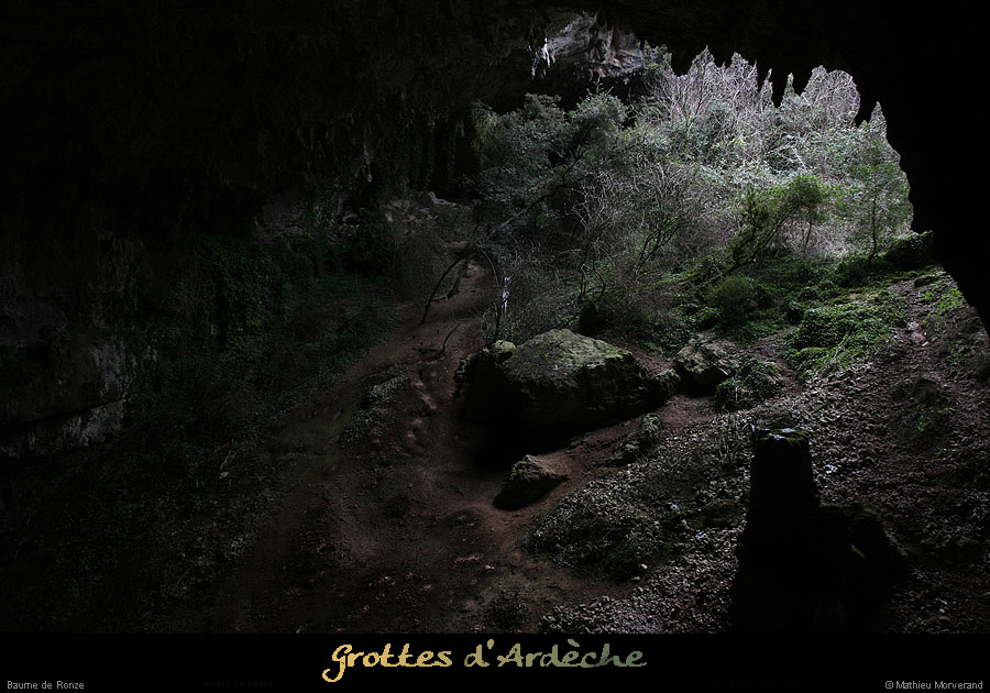 20100204_ronze33