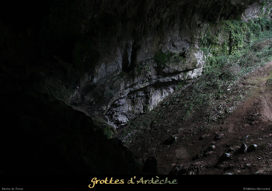 20100204_ronze43