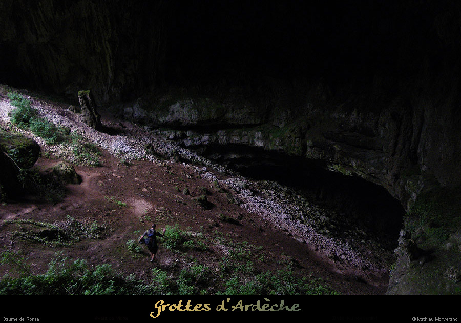 20100615_baumederonze2