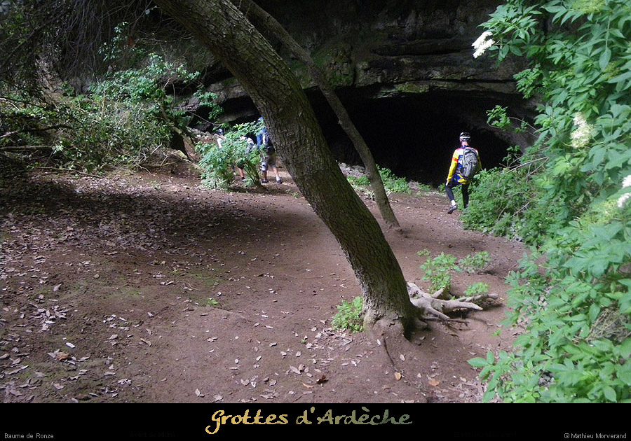 20100615_baumederonze3