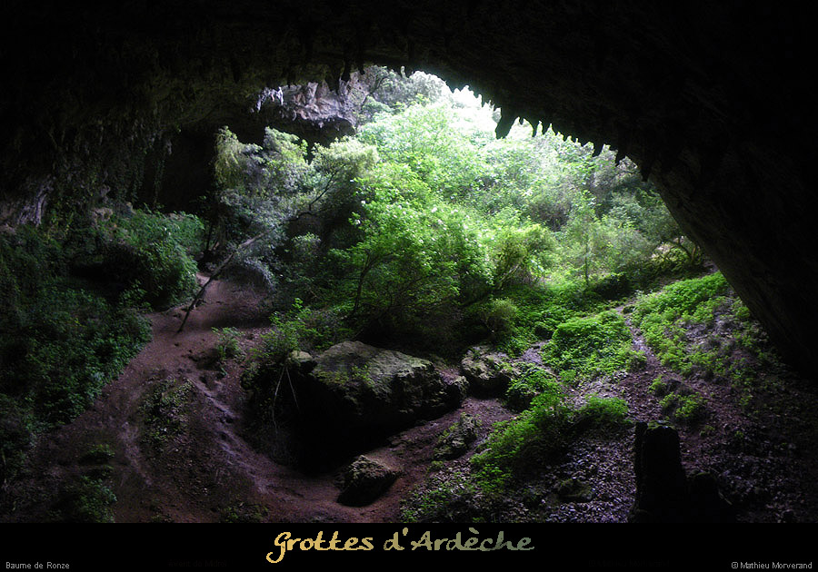 20100615_baumederonze4