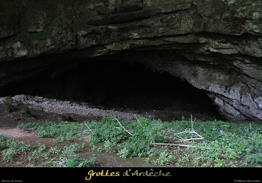 20130816_baumederonze4