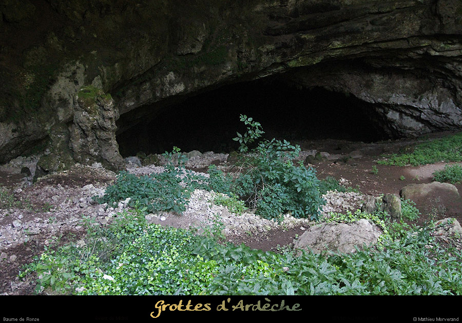 20130816_baumederonze5