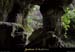 20010804_baumederonze_53