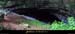 20040813_baumederonze_c2_haut_pano