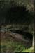 20051023_baumederonze_c2_3