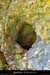 20010811_conchettes_grottefonddevallee