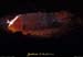 20011208_grottedesconchettes_sortie_2