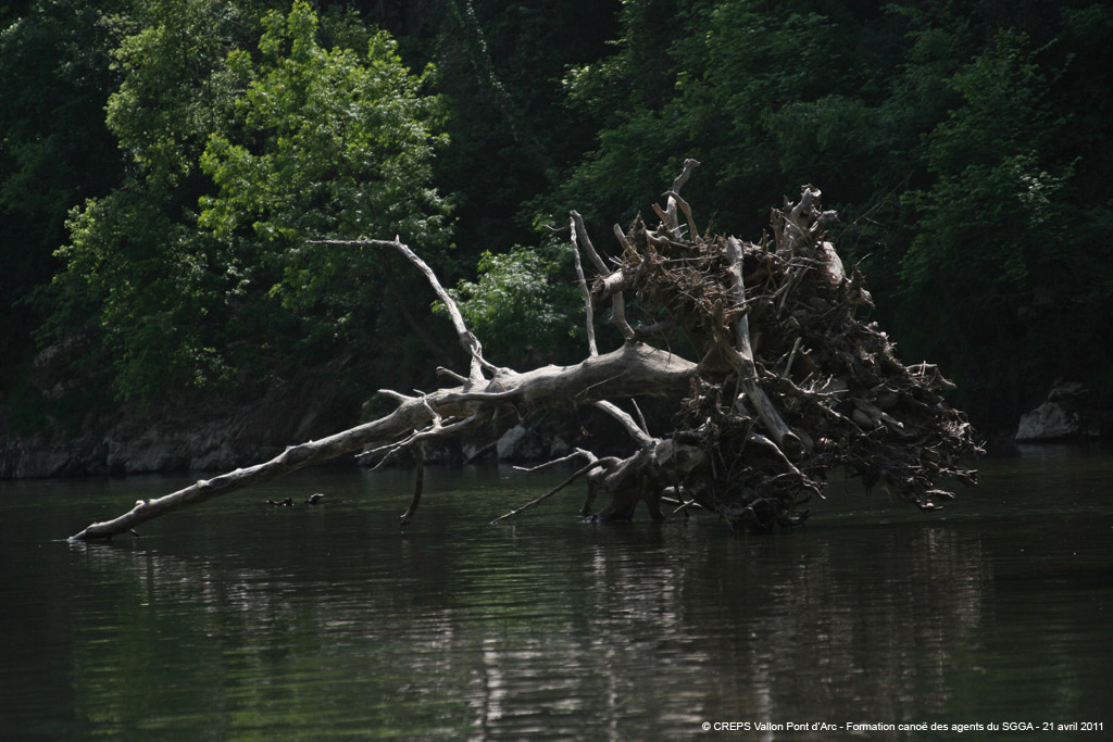 20110421_187