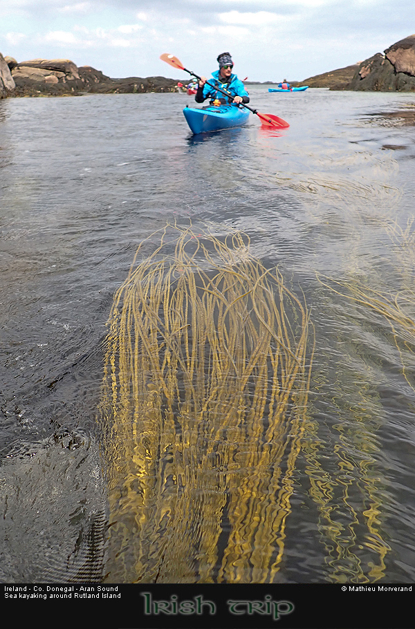 20260528_11