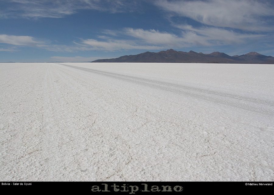 027_01_salaruyuni