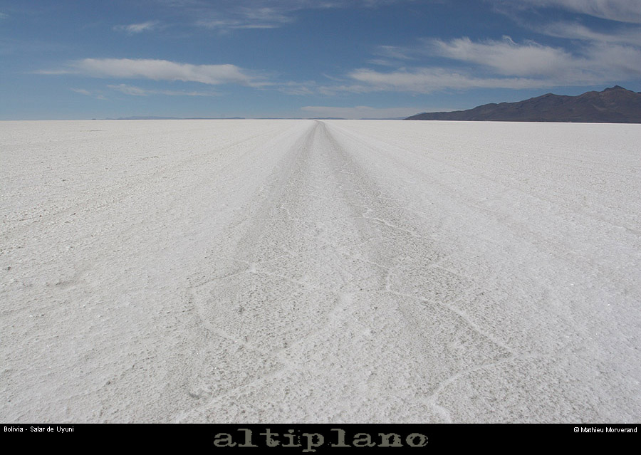 027_02_salaruyuni