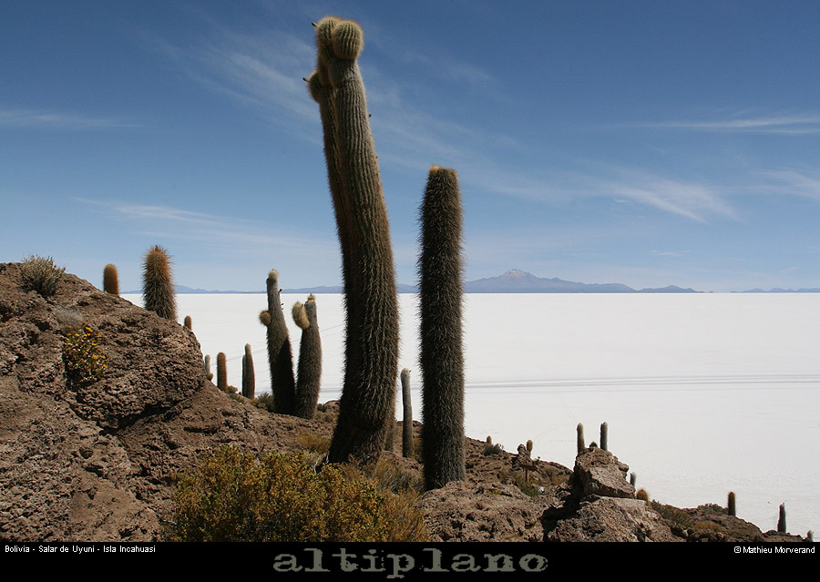 028_06_incahuasi