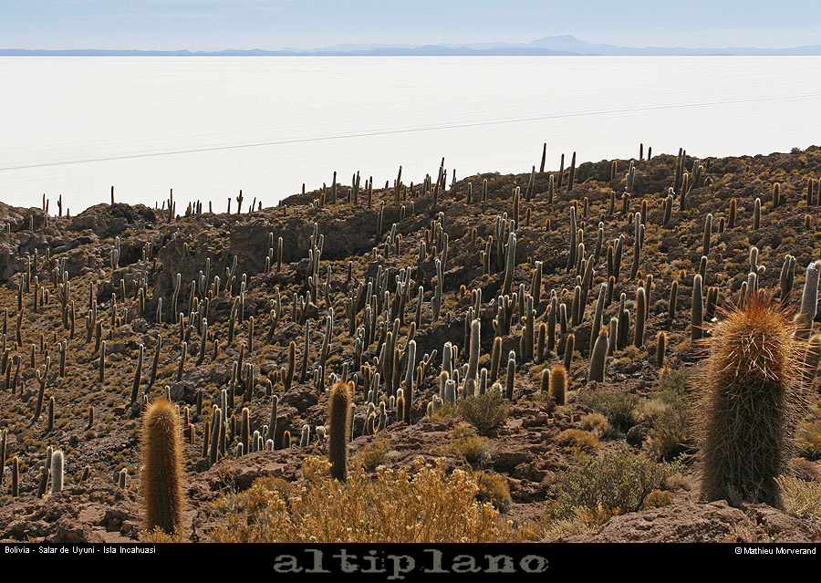 028_08_incahuasi