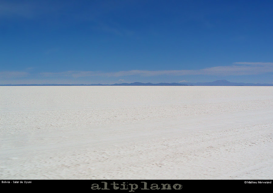 029_03_salaruyuni