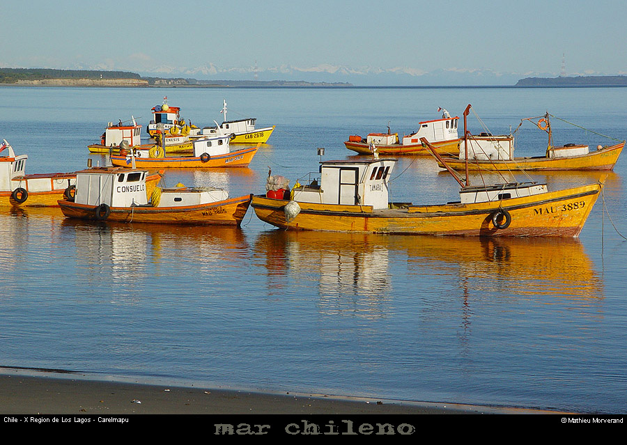 070_02_carelmapu
