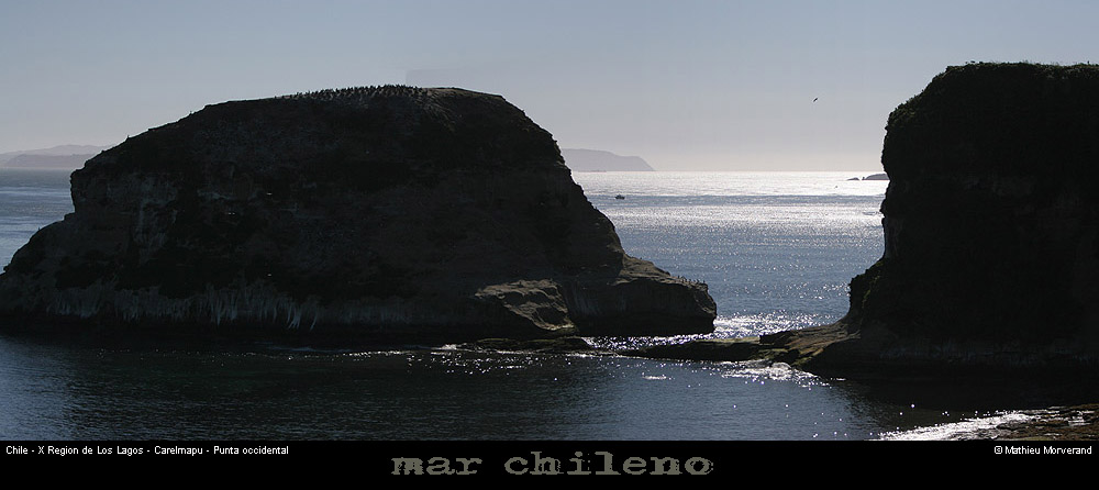 072_01_ptecormoranspano