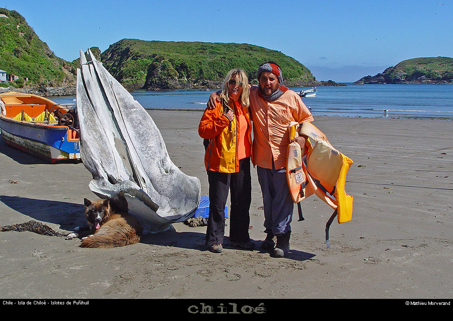 075_04_bahiapinguinera