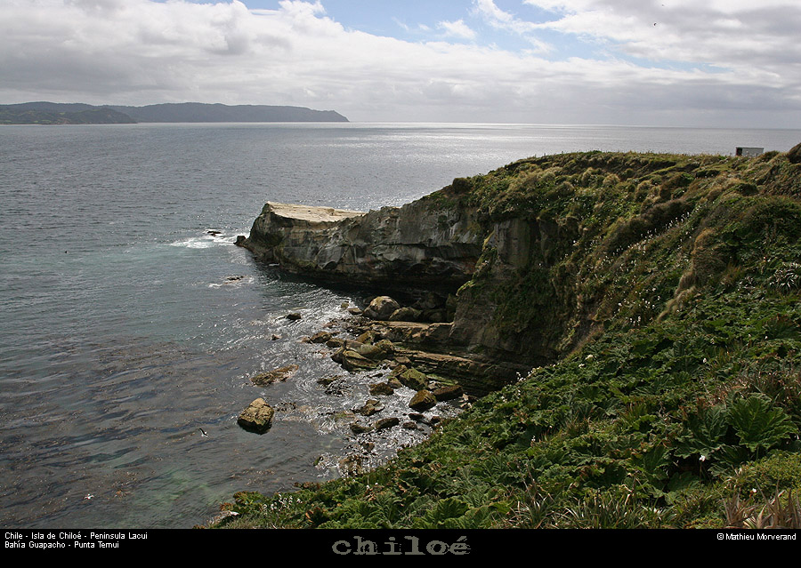 078_10_huapilacuypte
