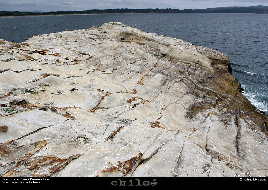 078_26_huapilacuypte