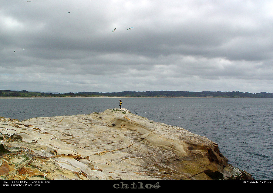 078_29_huapilacuypte