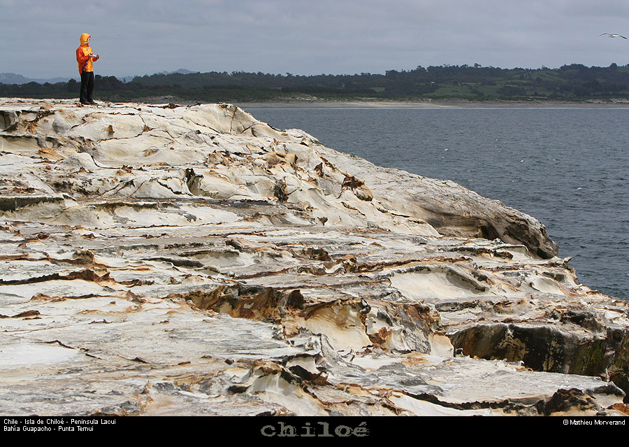 078_39_huapilacuypte