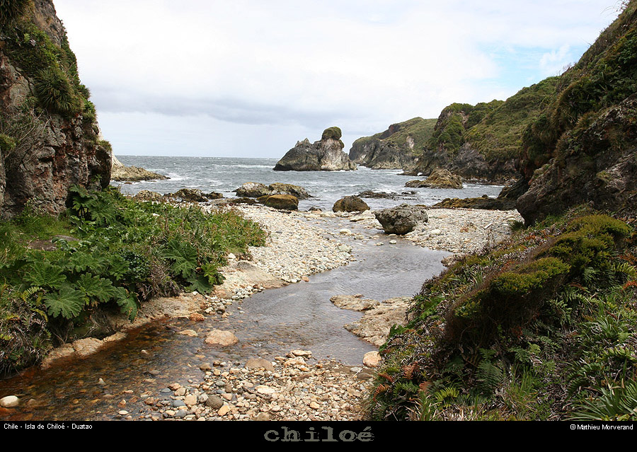 079_35_duataocriq