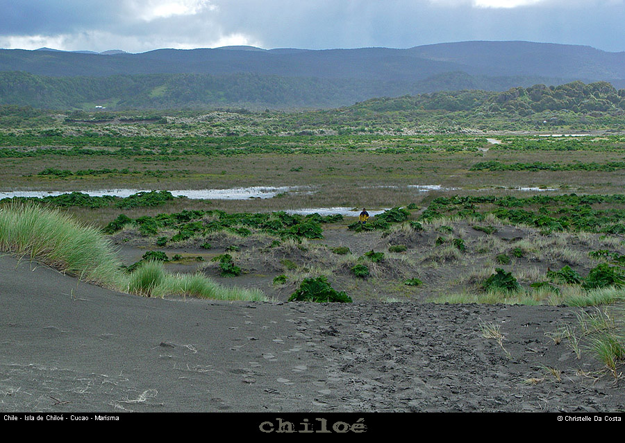 084_03_cucaomarais