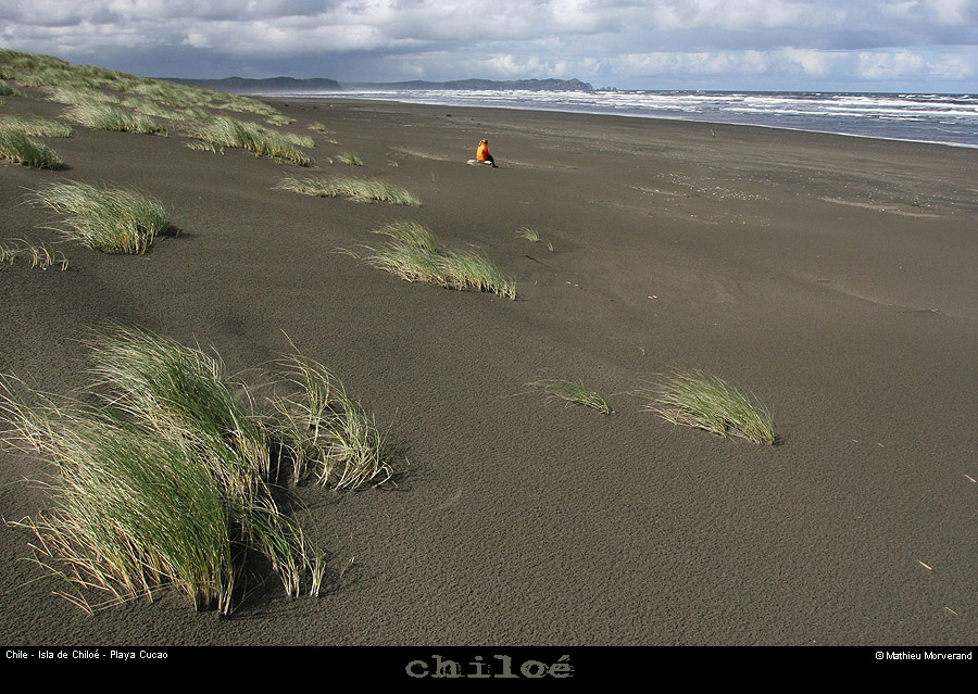 084_12_cucaodunes