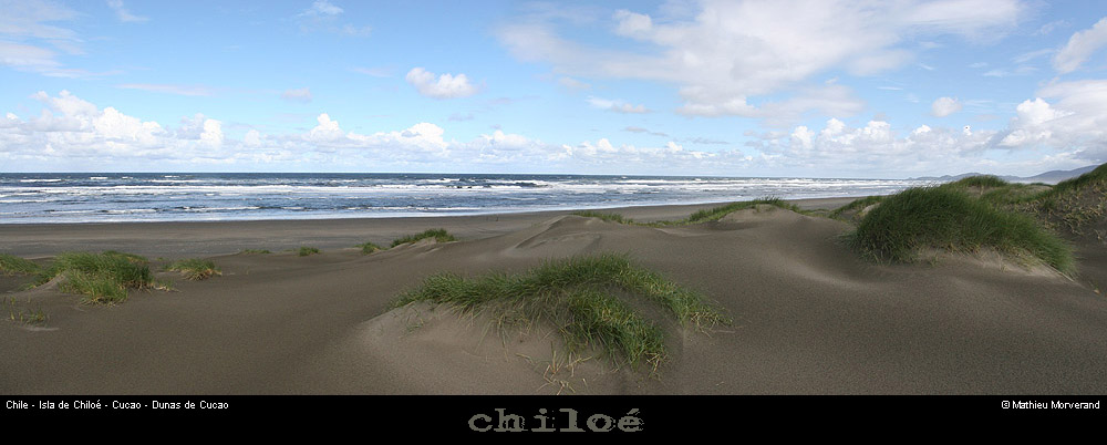 084_15_cucaodunespano