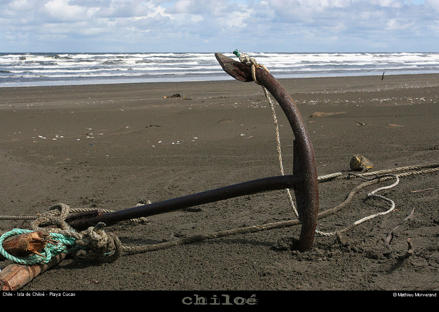 085_07_cucaobahia
