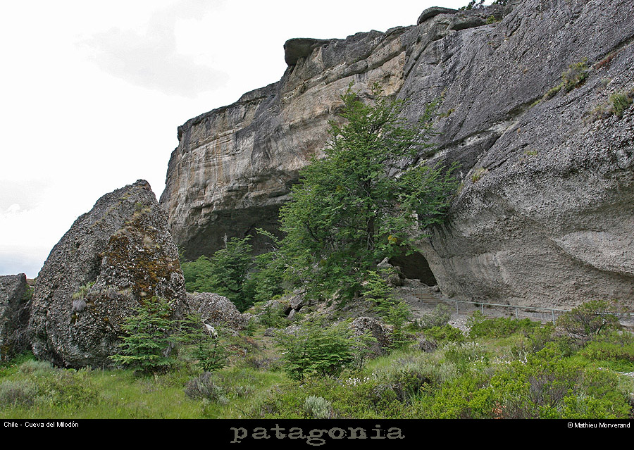 094_02_cdmilodonacces