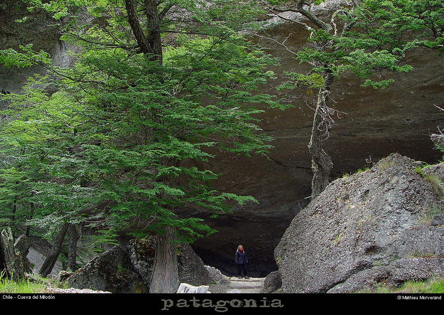 094_04_cdmilodonacces
