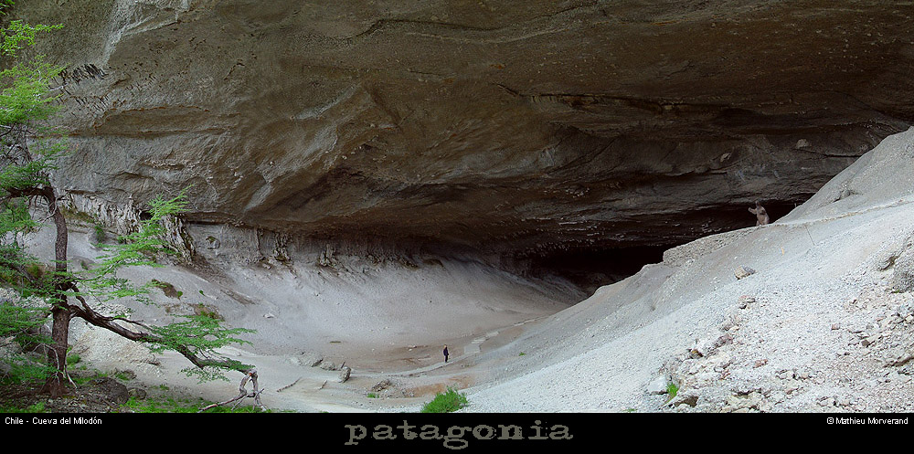 094_05_cdmilodonpano