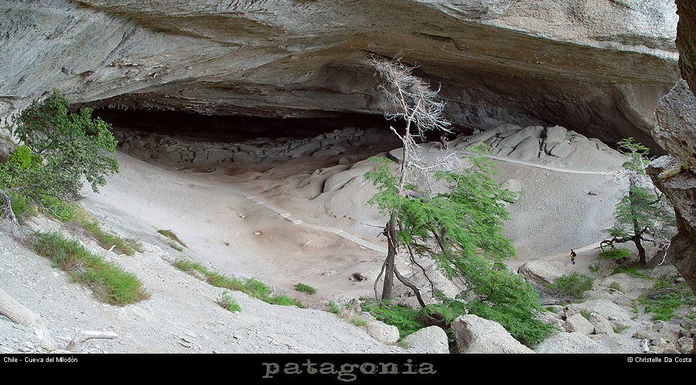 094_06_cdmilodonpano