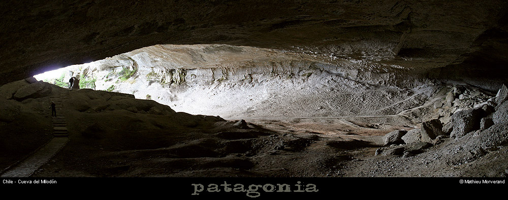 094_10_cdmilodonpano