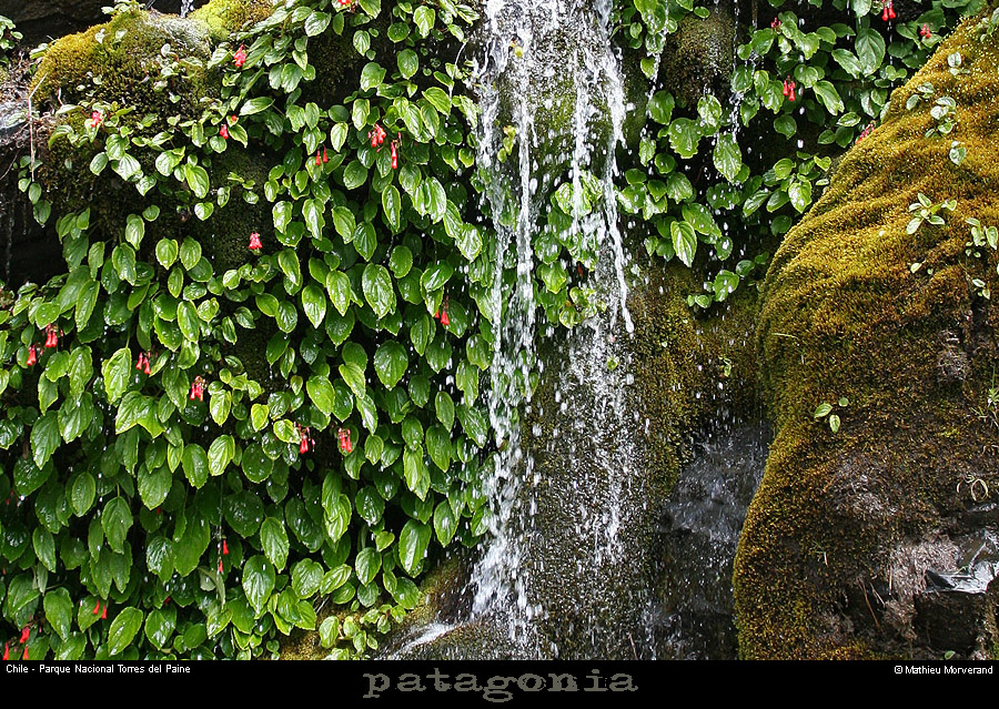 113_03_valleeascensio