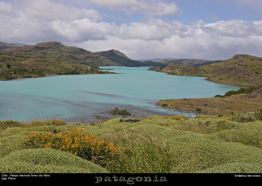 133_01_lagopehoe