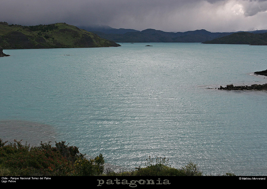 133_03_lagopehoe